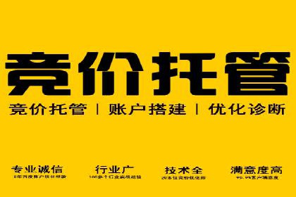 SEM托管服务，成功案例展示转化优势